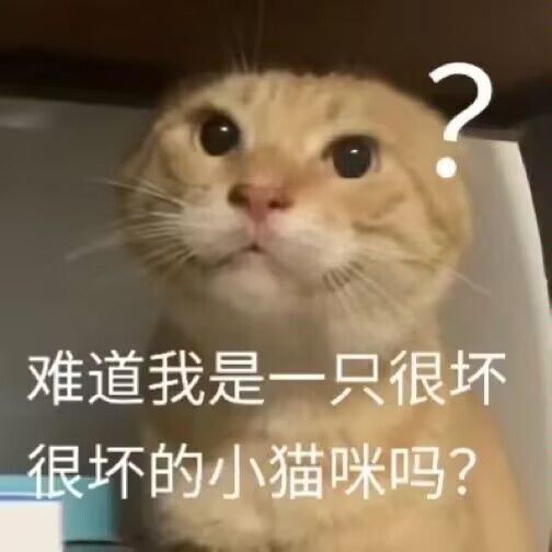 QQ图片20250427215022.jpg